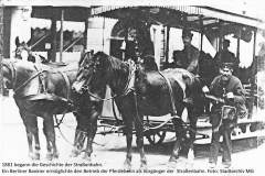 Pferdekutsche 1881