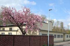 Turnhalle Dohr