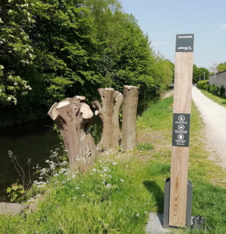 Baumrückschnitt Brückenstraße Niers