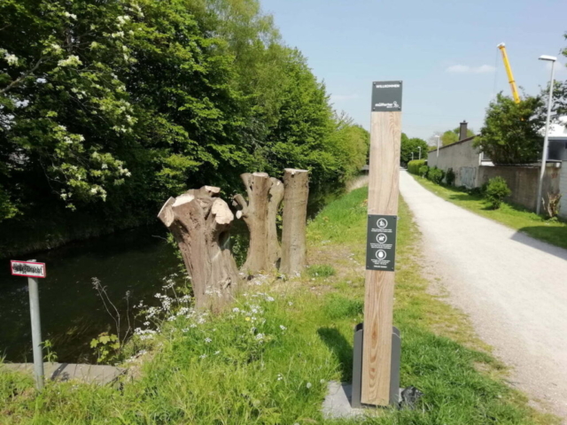 Baumrückschnitt Brückenstraße Niers