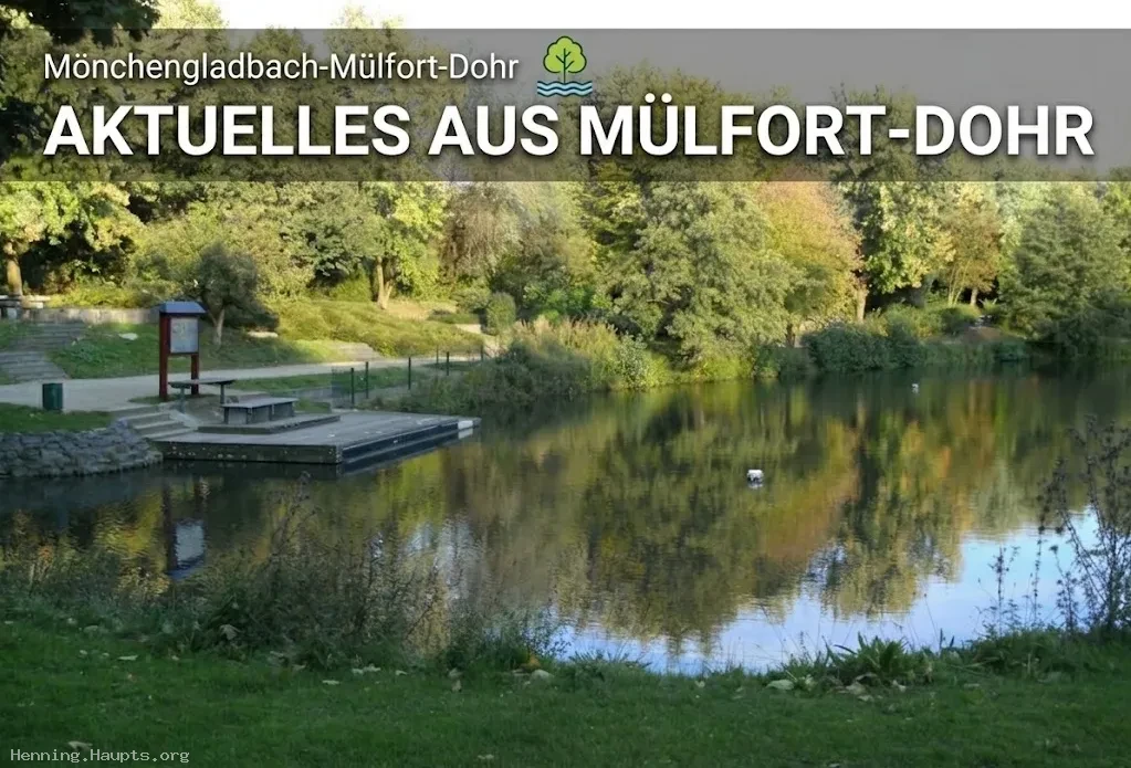 Banner Mülfort Dohr