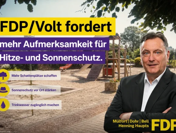 FDP Volt Sonnenschutz an Spielplätzen